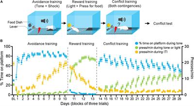 Characterizing Different Strategies for Resolving Approach-Avoidance Conflict